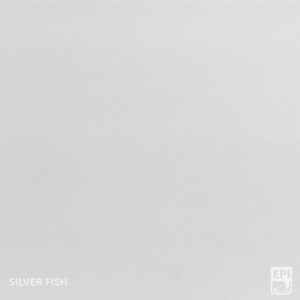 Corestone Nature® 21 Corestone Nature Solid_Silver Fish